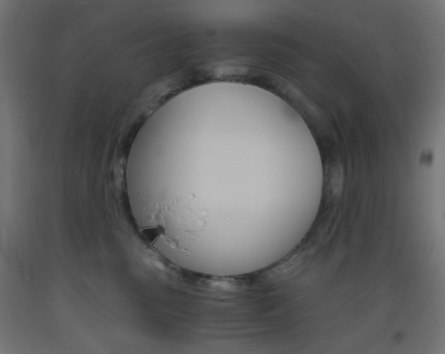 X0000093530475200710121153