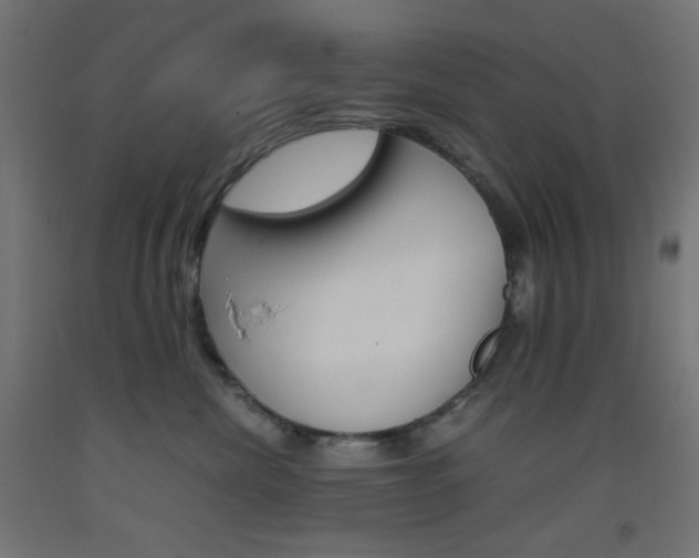 X0000093530476200710121153