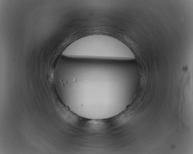 X0000093530477200710121153