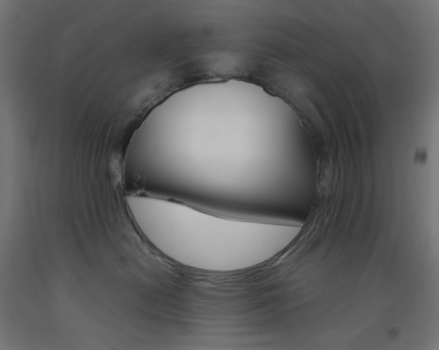 X0000093530478200710121153