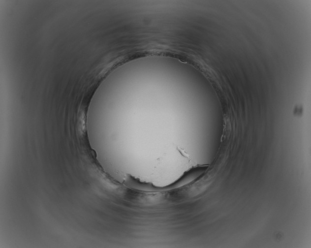 X0000093530479200710121153