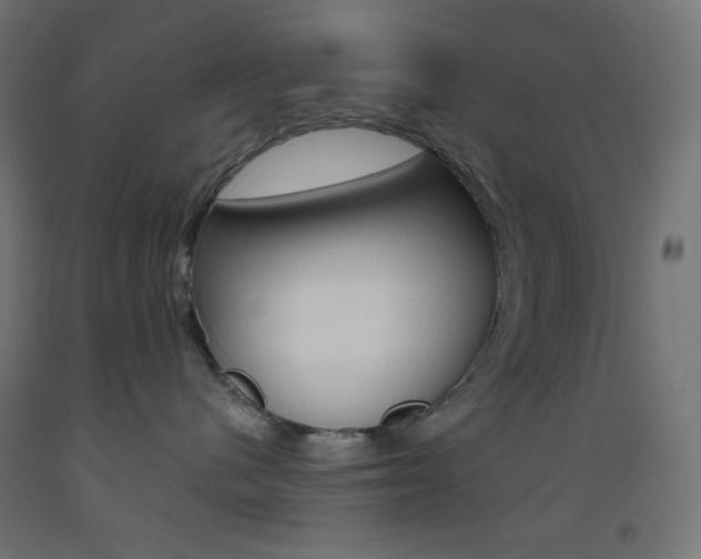 X0000093530480200710121153