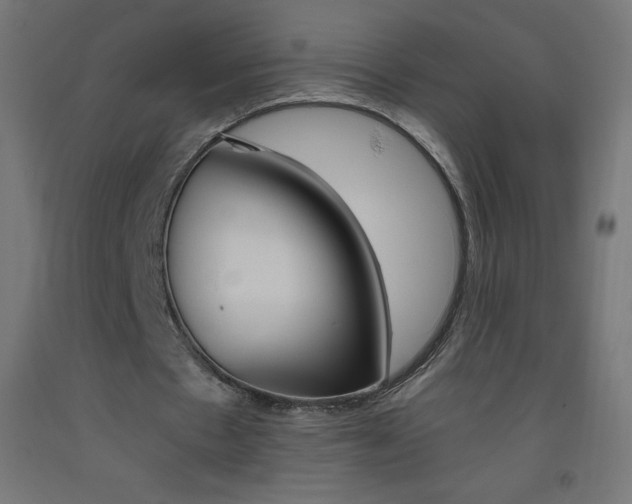 X0000093530481200710121152