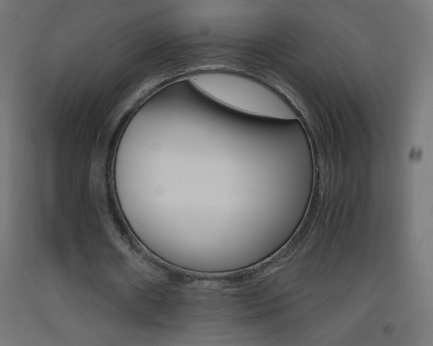 X0000093530482200710121152