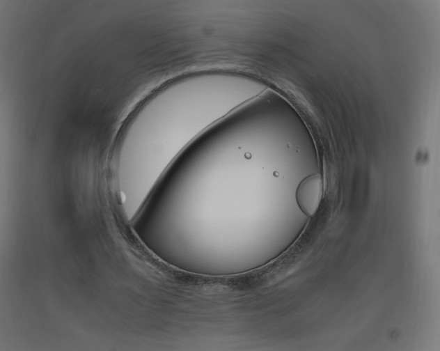 X0000093530483200710121152
