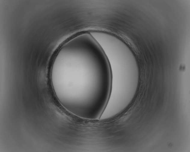 X0000093530484200710121152