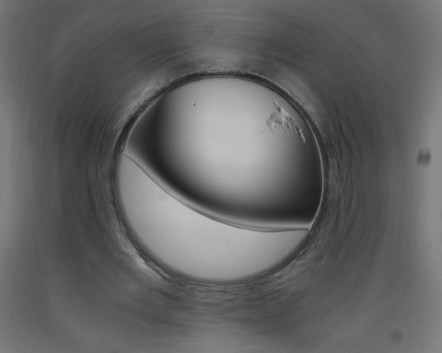 X0000093530485200710121152