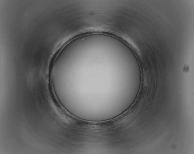 X0000093530486200710121152