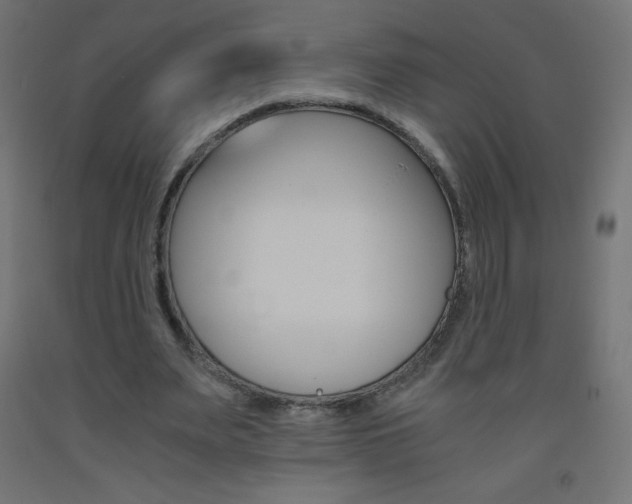 X0000093530487200710121152