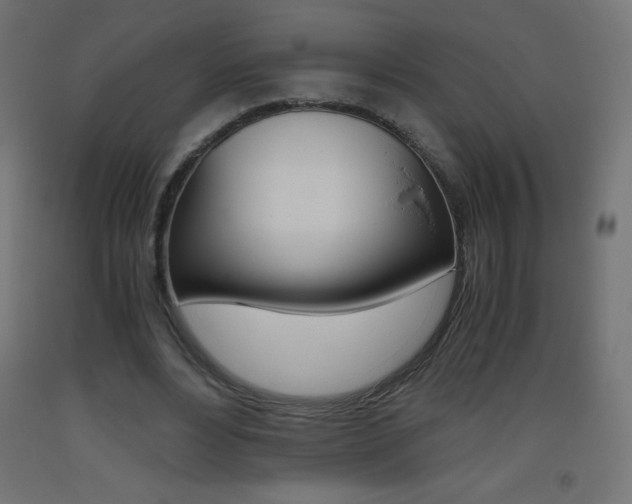 X0000093530488200710121152