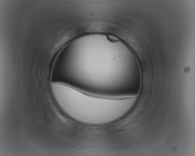 X0000093530489200710121152