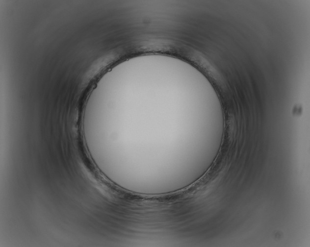 X0000093530490200710121152