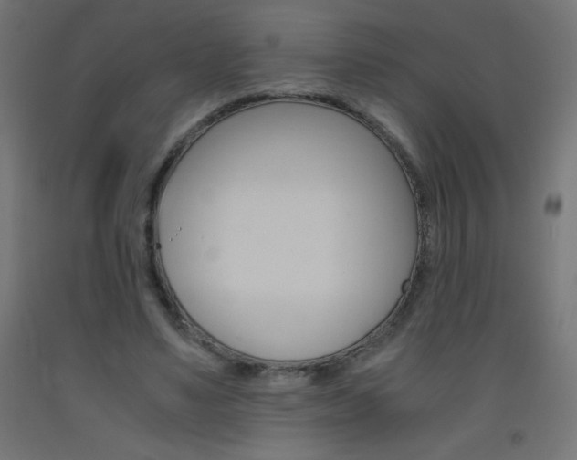 X0000093530491200710121152