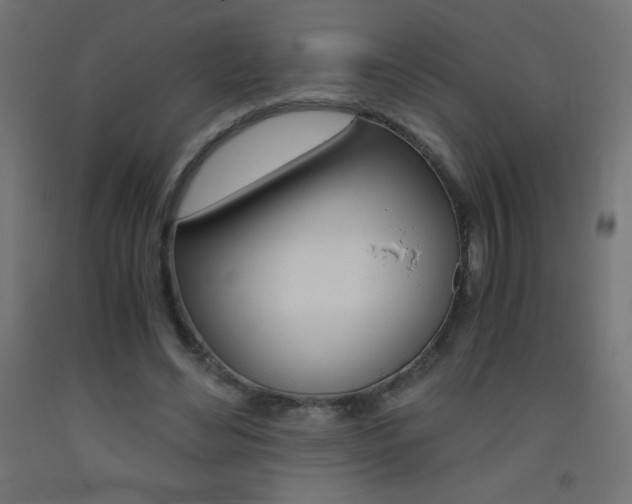 X0000093530492200710121152