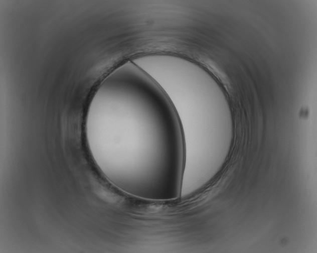 X0000093530493200710121152