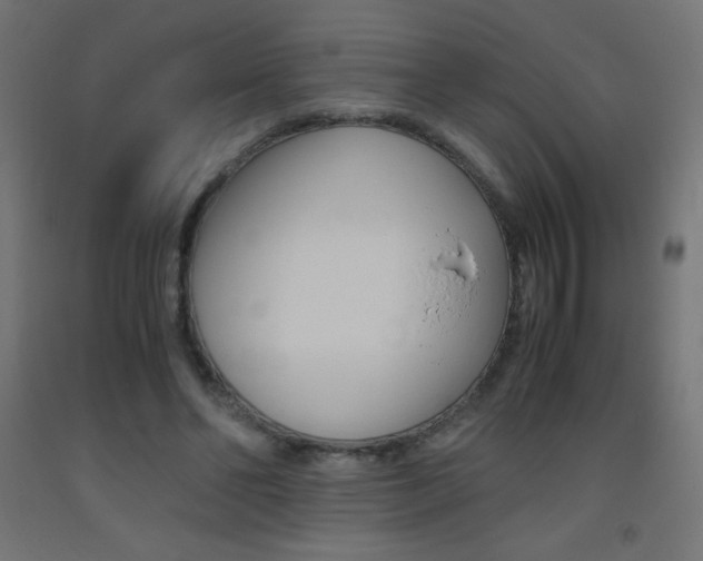 X0000093530494200710121152