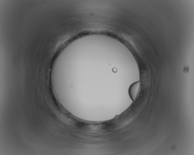 X0000093530495200710121152