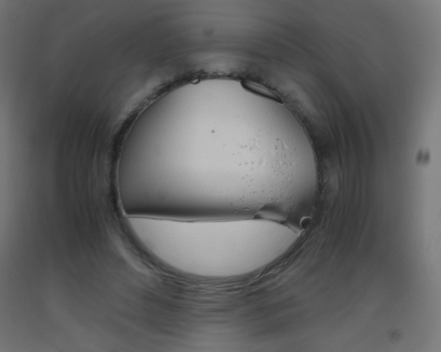 X0000093530496200710121152