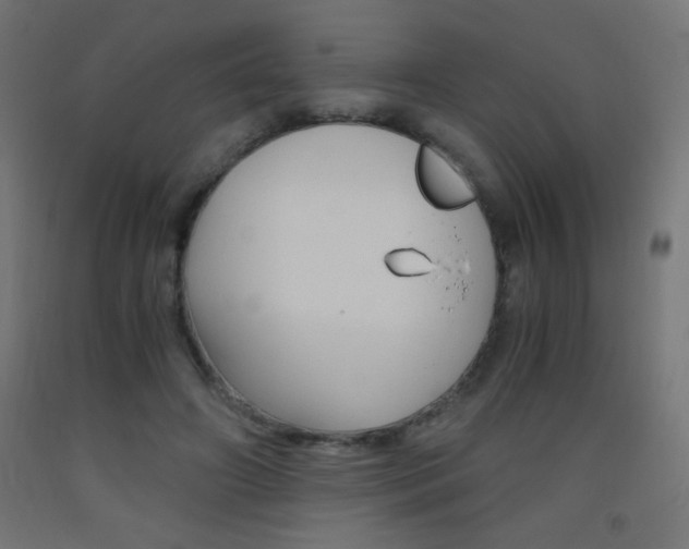 X0000093530498200710121152