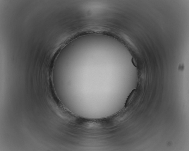 X0000093530500200710121152