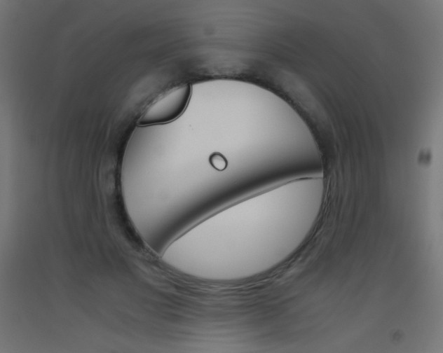 X0000093530501200710121152