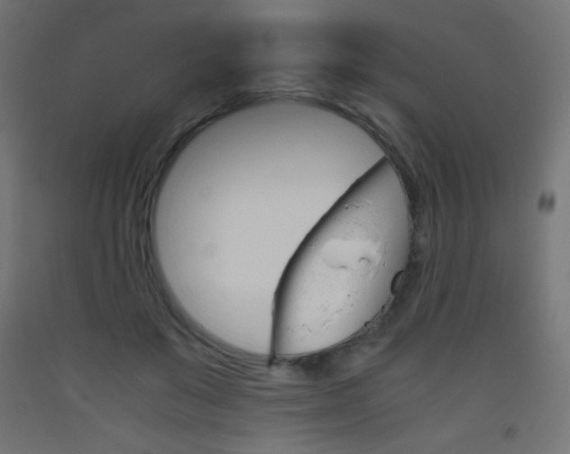 X0000093530503200710121152