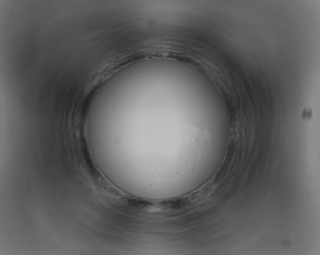 X0000093530504200710121152