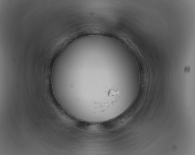 X0000093530505200710121152