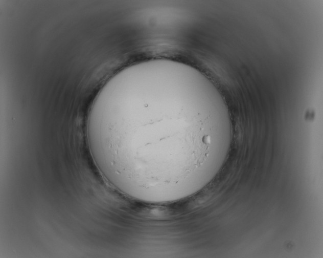 X0000093530506200710121152