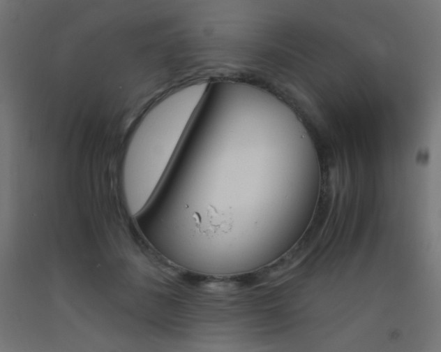 X0000093530508200710121152