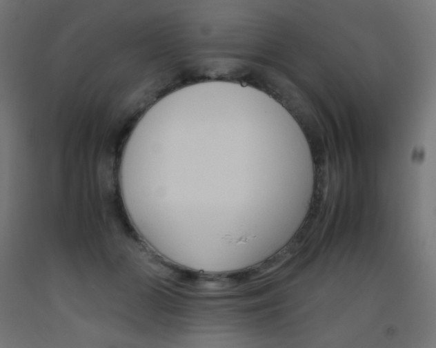X0000093530510200710121152