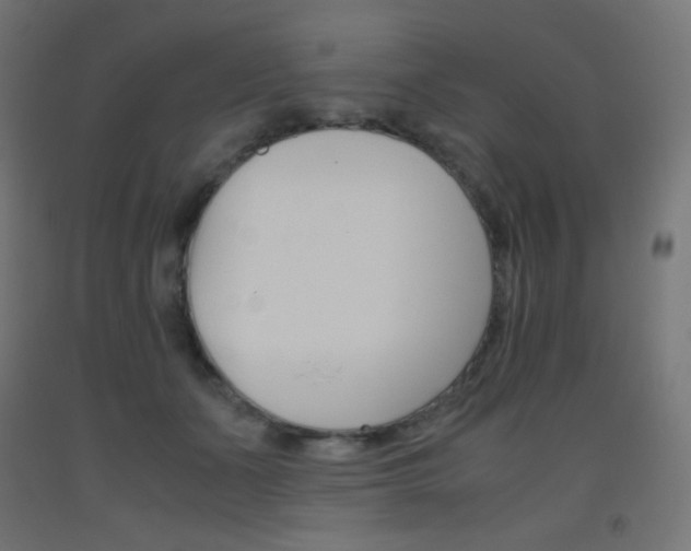 X0000093530511200710121152