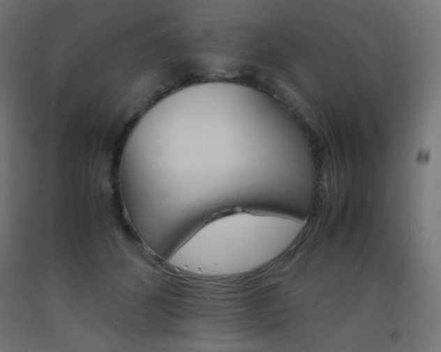 X0000093530512200710121152