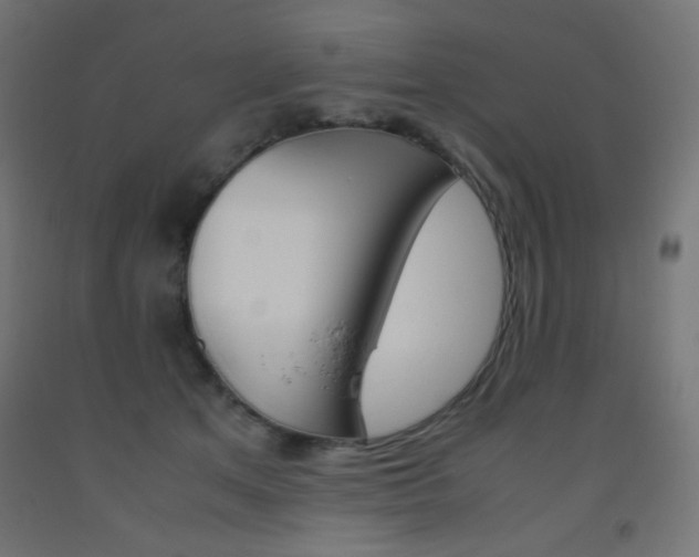 X0000093530513200710121152