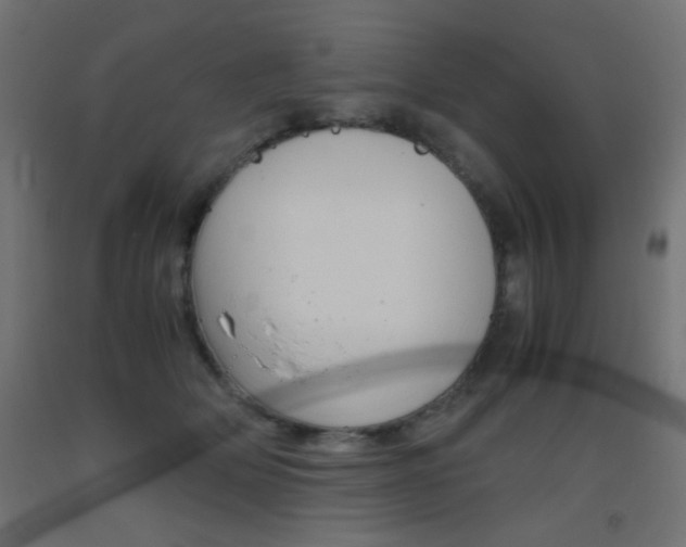 X0000093530514200710121152