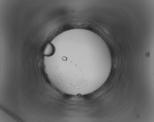 X0000093530515200710121152