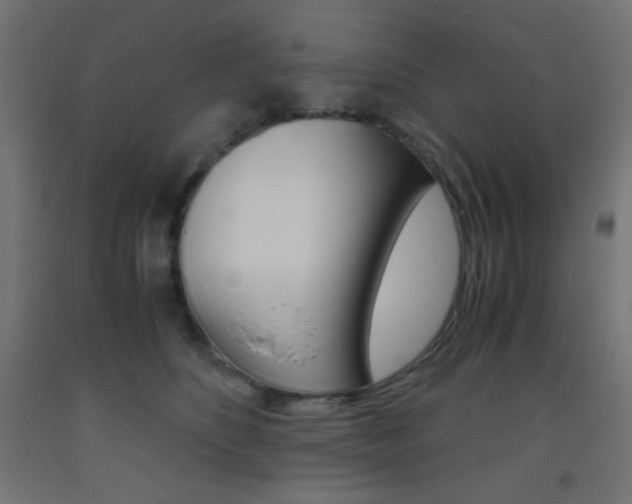 X0000093530516200710121152
