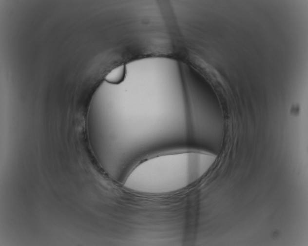 X0000093530517200710121152