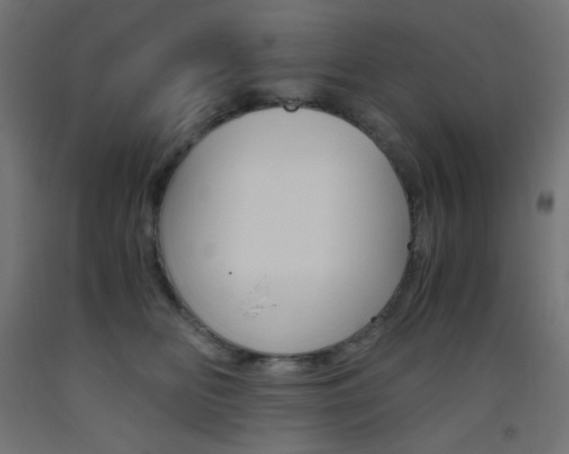 X0000093530518200710121152