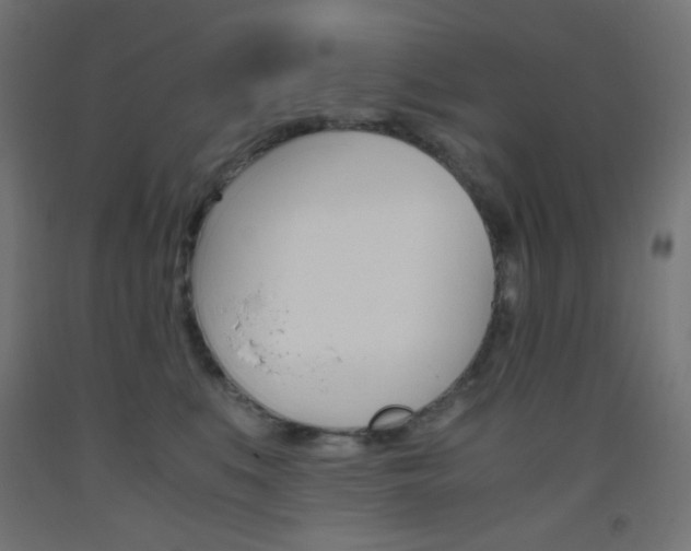 X0000093530519200710121152