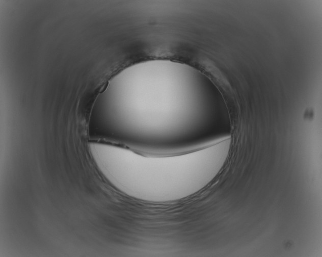 X0000093530521200710121152