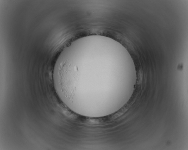 X0000093530522200710121152