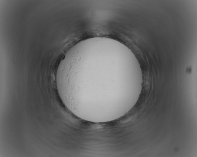 X0000093530523200710121152