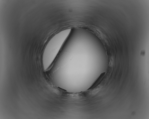 X0000093530524200710121152