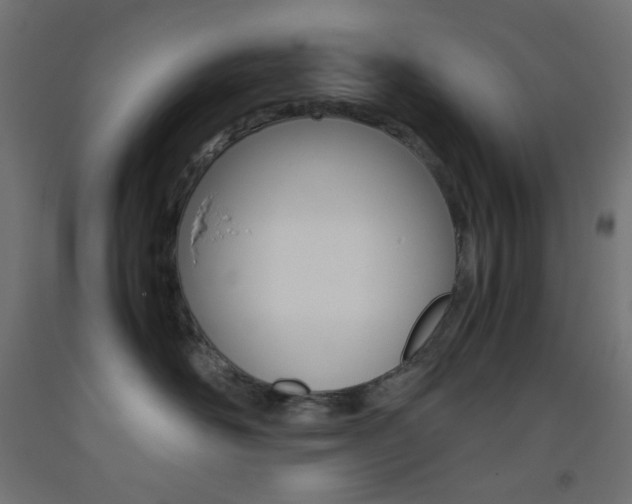 X0000093530526200710121152
