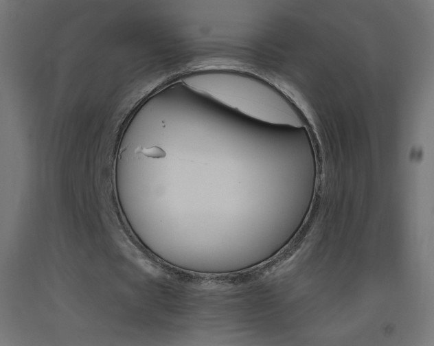 X0000093530529200710121151