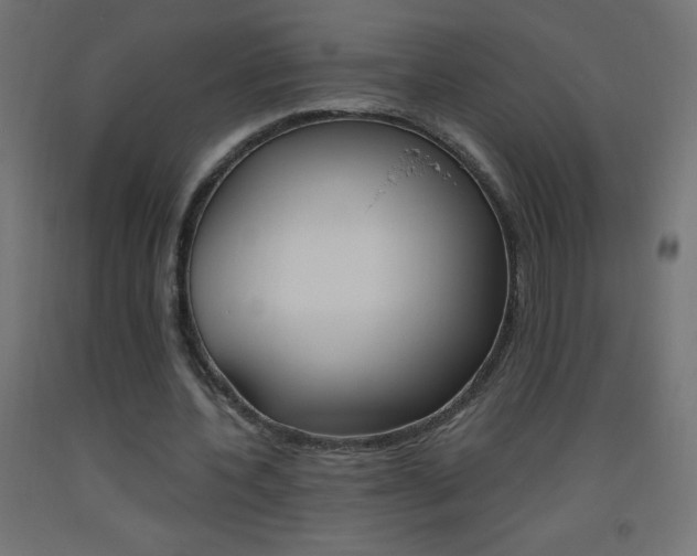 X0000093530532200710121151