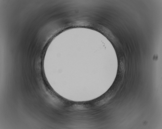X0000093530534200710121151
