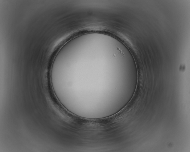 X0000093530535200710121151