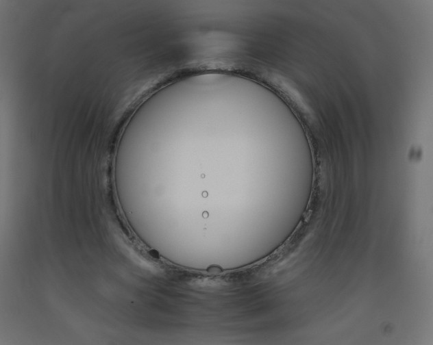 X0000093530537200710121151